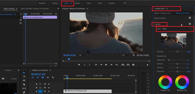  Cómo añadir sus propios filtros en Premiere Pro (más descargas)